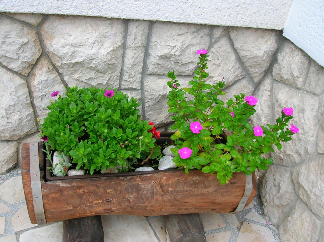 Giardino - Appartamenti accanto al mare Palit, Arbe - Rab