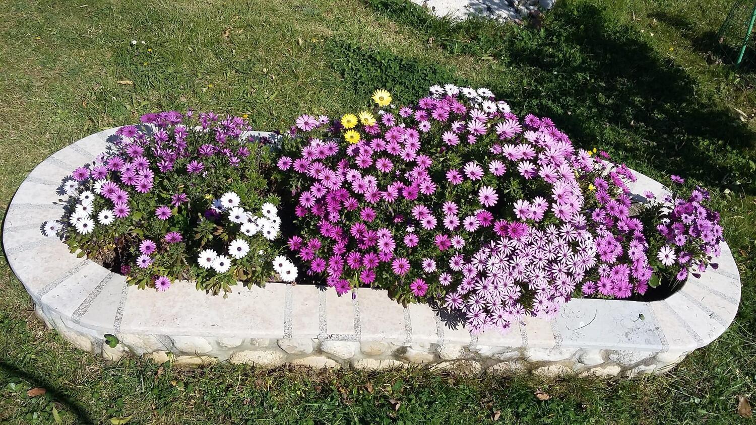Giardino - Appartamenti accanto al mare Palit, Arbe - Rab