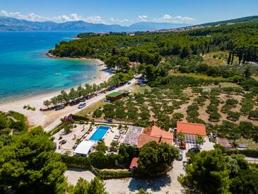 Luksuzna vila ob morju z bazenom Mirca, Brač - 16183 Adriatic.hr