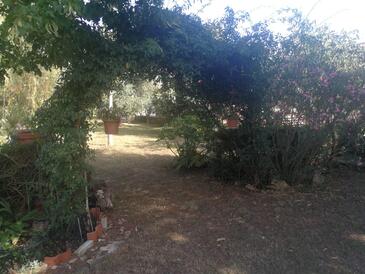 Apartmaji s parkingom Soši, Umag - 16184