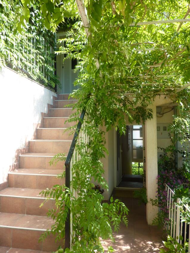 Apartmaji ob morju Polače, Mljet - 16296
