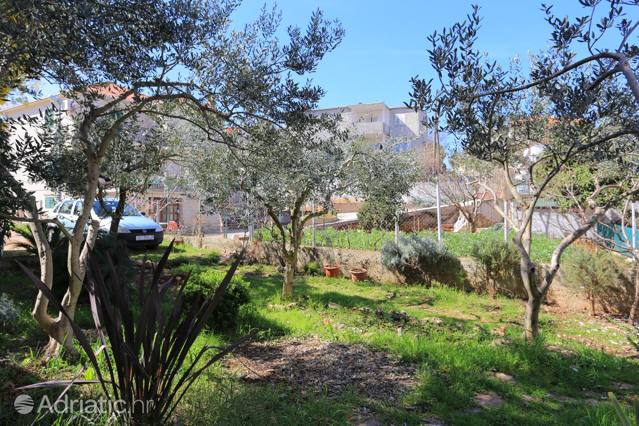 Giardino - Appartamenti con parcheggio San Pietro di Brazza - Supetar, Brazza - Brač
