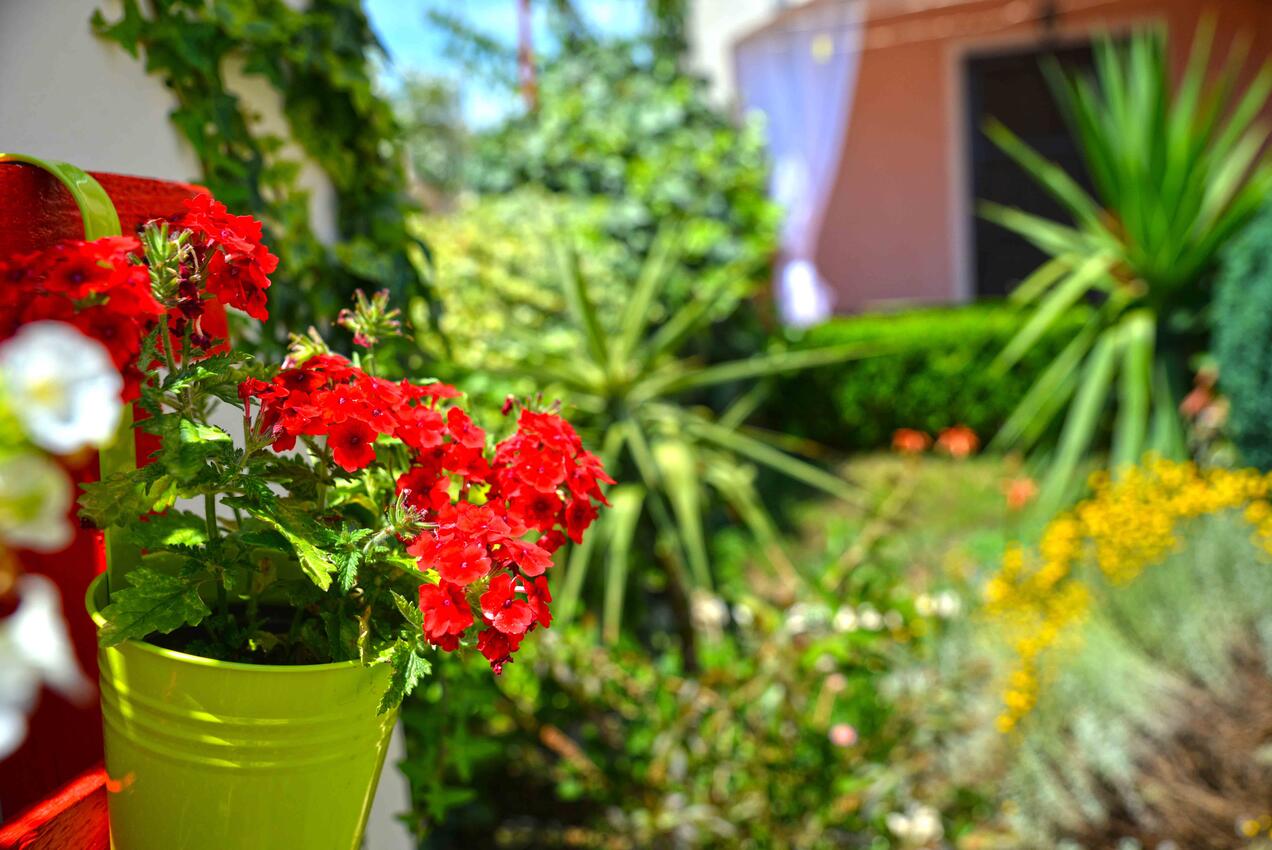 Giardino - Appartamenti accanto al mare Betina, Morter - Murter