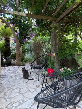 Apartmanok parkolóhellyel Mali Losinj, Losinj - 16903