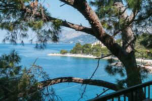 Appartamento di due stanze Brella - Brela, Macarsca - Makarska (A-16950-a(
