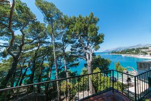 Appartamento di una stanza Brella - Brela, Macarsca - Makarska (A-16950-b(