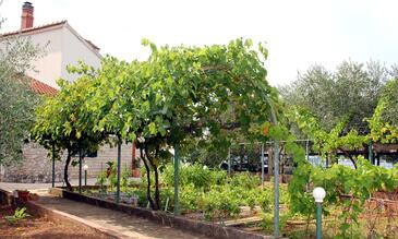 Ferienwohnungen am Meer Bilice, Krka - 17098