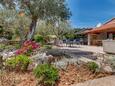 Seaside holiday house Artatore, Lošinj - 17102