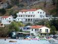 Overnatting Lopar, Rab, Overnatting 17103 - Leiligheter med sandstrand.