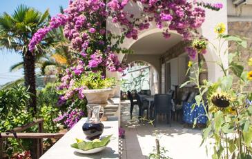 Apartments and rooms by the sea Molunat, Dubrovnik - 17143