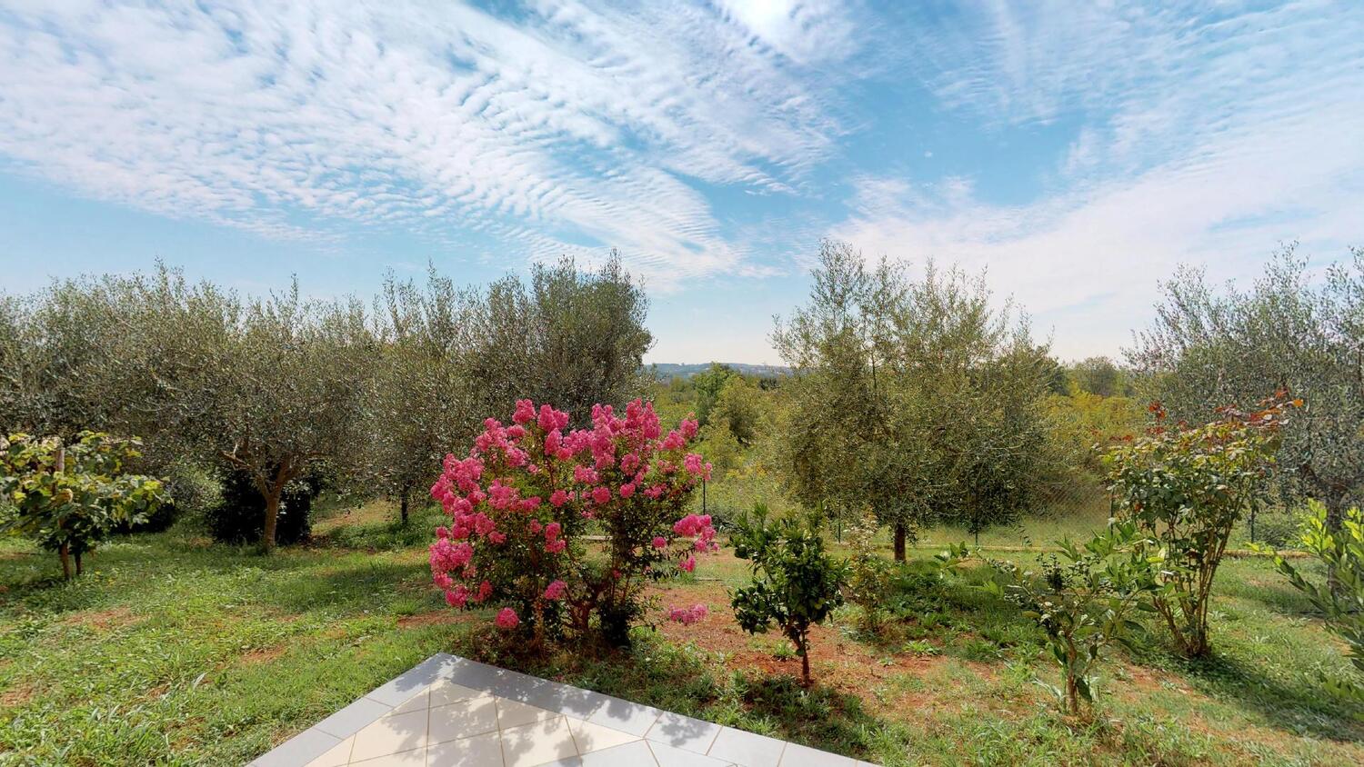 Courtyard - Apartments with a parking space Vilanija, Umag
