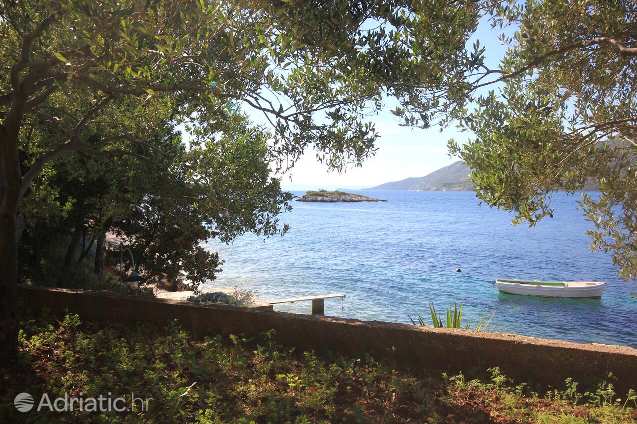 A-174-d - Alloggi privati - Appartamenti accanto al mare Tri Zala, Curzola - Korčula