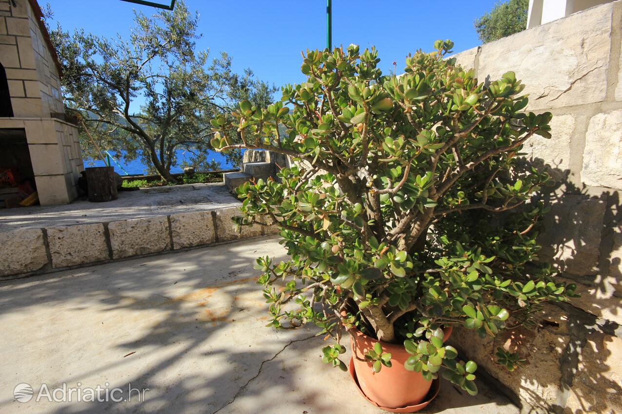 Giardino - Appartamenti accanto al mare Tri Zala, Curzola - Korčula