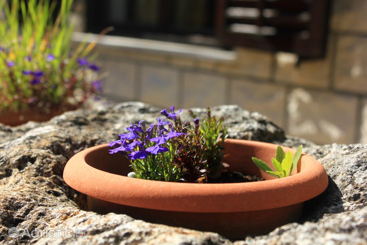 Giardino - Appartamenti accanto al mare Tri Zala, Curzola - Korčula