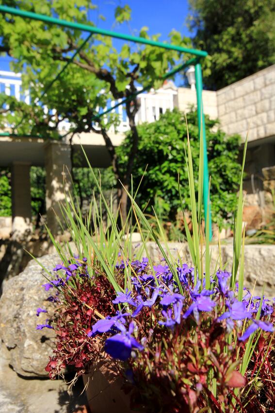 Giardino - Appartamenti accanto al mare Tri Zala, Curzola - Korčula