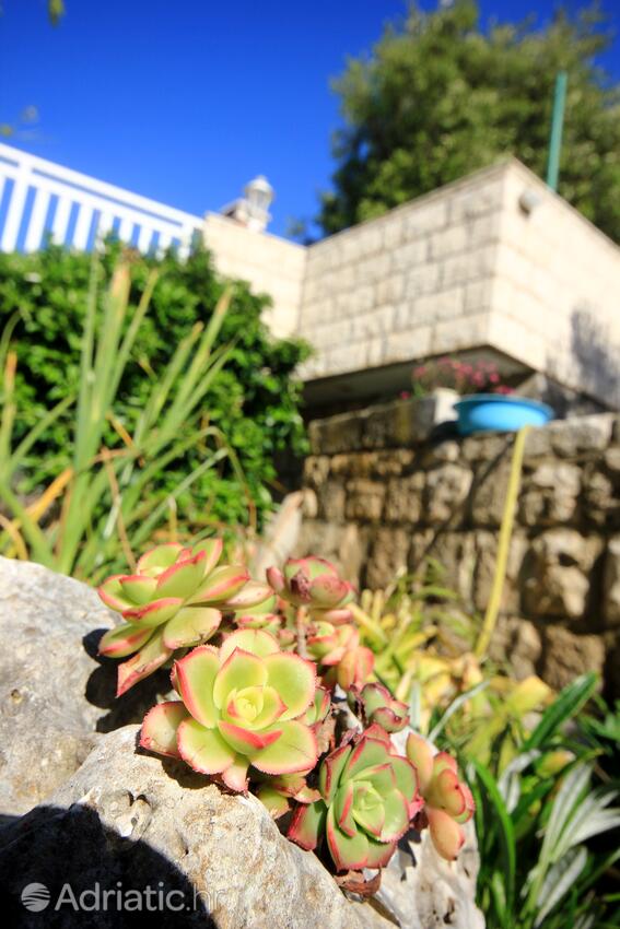 Giardino - Appartamenti accanto al mare Tri Zala, Curzola - Korčula