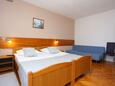 Grabovac, Bedroom in the room, air condition available, (pet friendly) and WiFi.