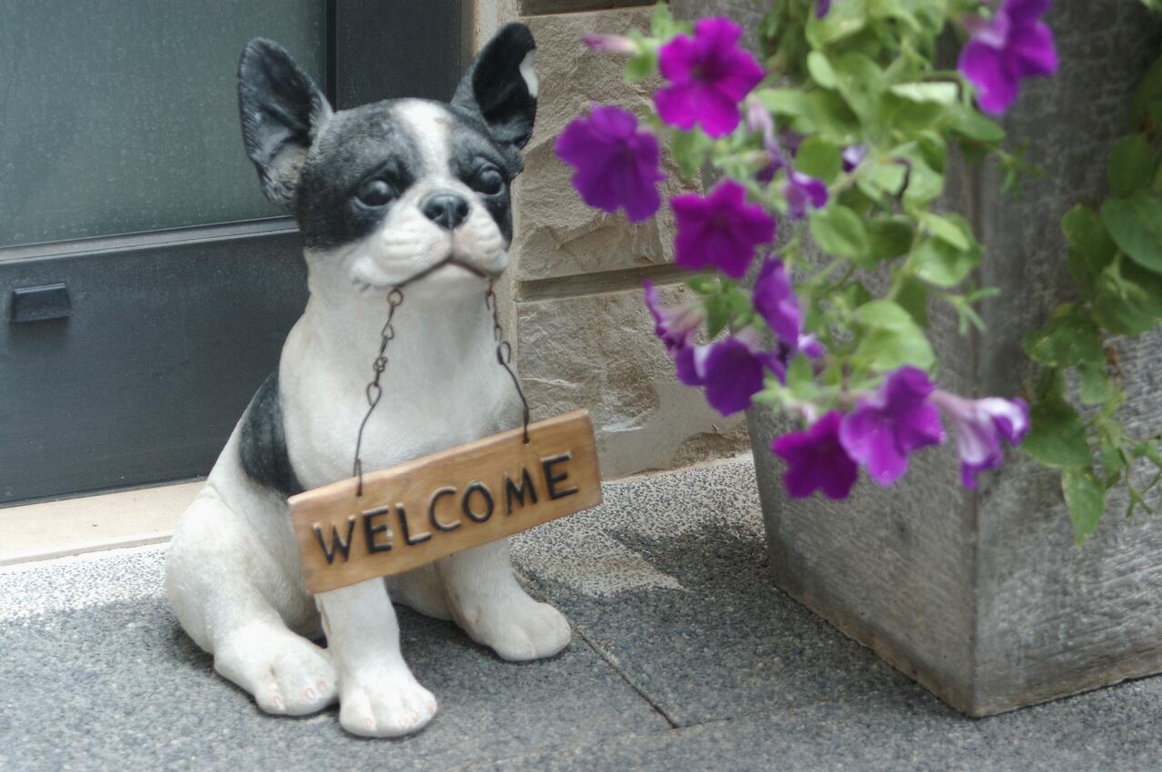 Apartments and rooms with parking space Makarska - 18106