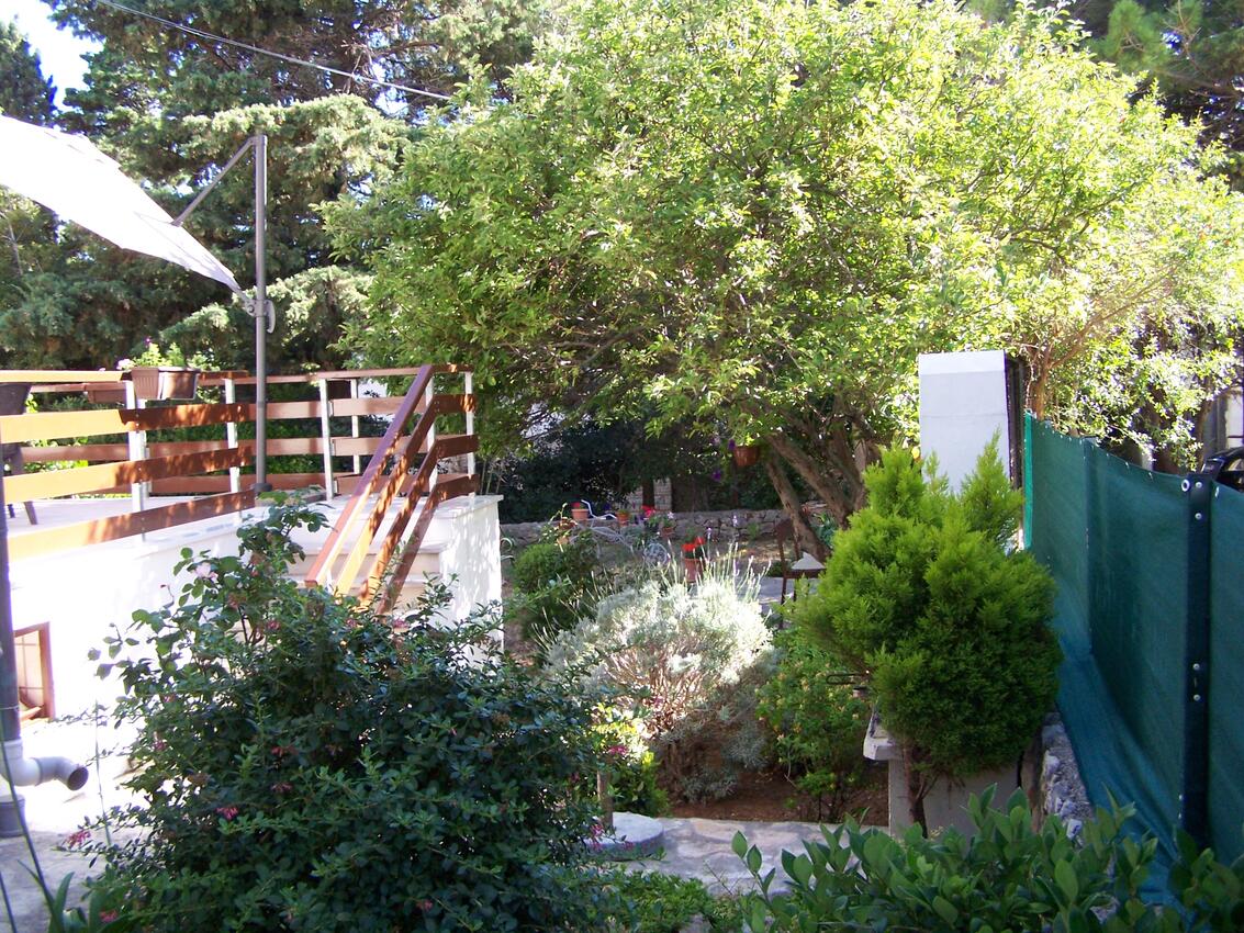 Appartamenti accanto al mare Novaglia - Novalja, Pago - Pag - 18154