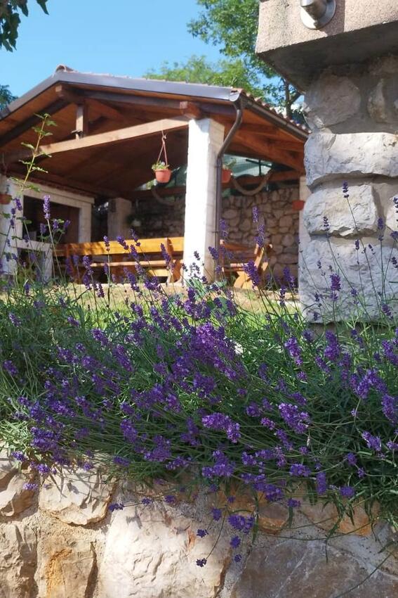 Courtyard - Apartments with a parking space Dramalj, Crikvenica