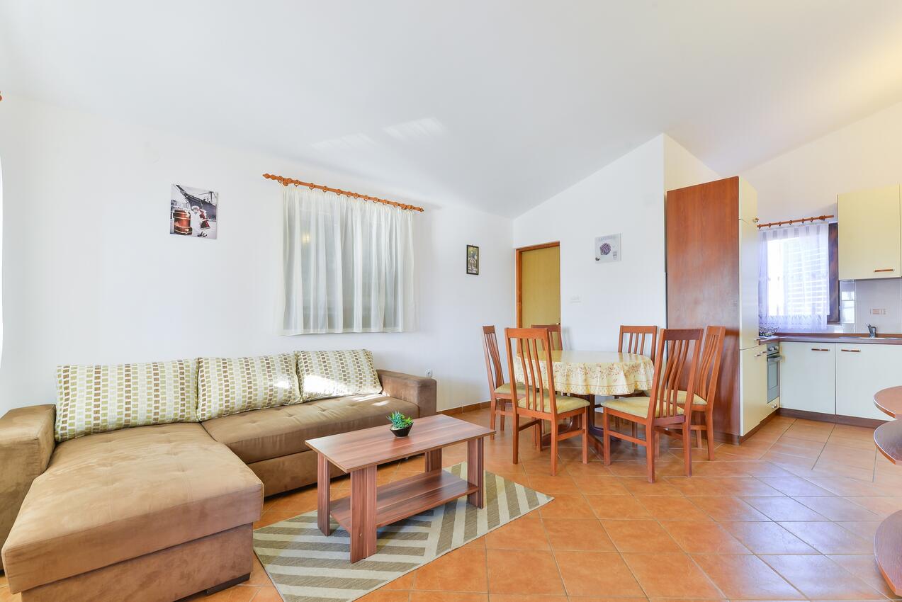 Apartments with terrace Vir, North Dalmatia