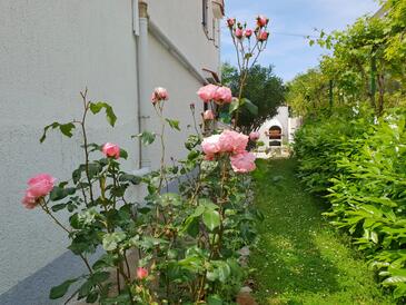 Apartments with parking space Šilo, Krk - 18752