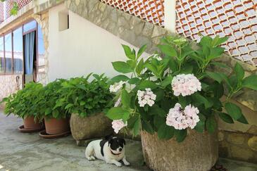 Apartments with parking space Šilo, Krk - 18760