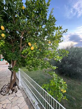 Zimmer am Meer Rab - 18786