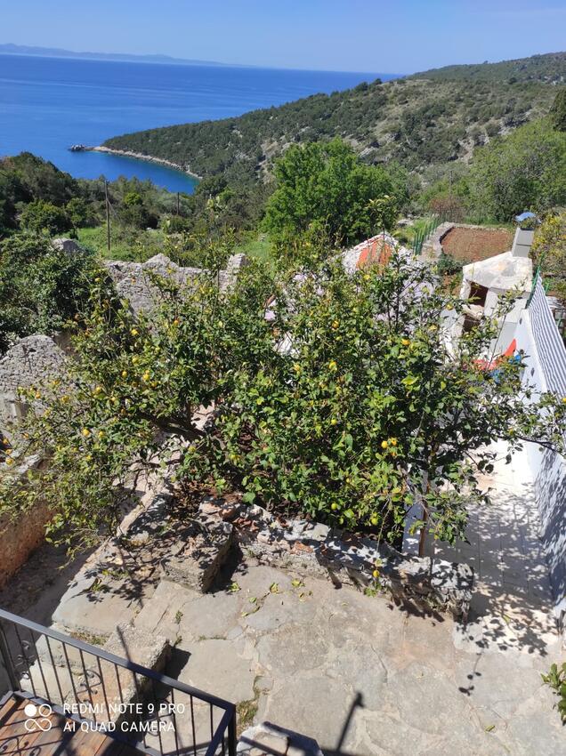 K-18817 - Alloggi privati - Casa vacanze con Internet Baia Kozja, Lesina - Hvar