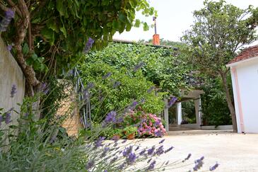 Ferienwohnungen mit Parkplatz Bibinje (Zadar) - 18843