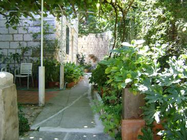 Appartamenti accanto al mare Ragusa - Dubrovnik - 18908