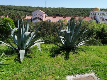 Apartmány pri mori Duga Uvala, Marčana - 18939 Adriatic.hr