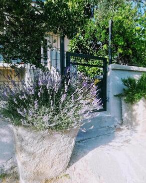 Apartments with parking space Pakoštane, Biograd - 18979