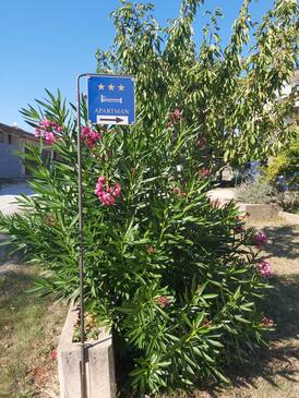 Апартаменти і кімнати у моря Ровінь - Rovinj - 19183