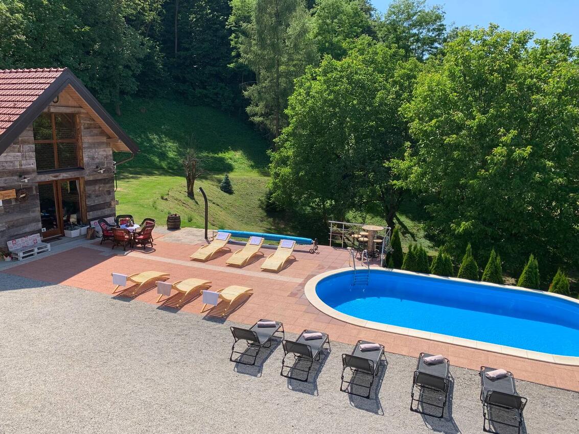 Casa con piscina per famiglia Novi Marof, Zagorje - 19184