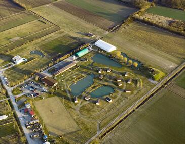 Rooms with a parking space Slavonski Brod, Slavonija - 19326
