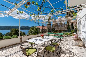 Apartments by the sea Viganj, Pelješac - 19391