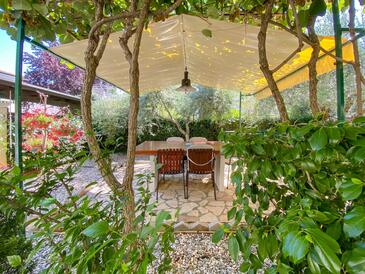 Lägenheter vid havet Novigrad - 19475