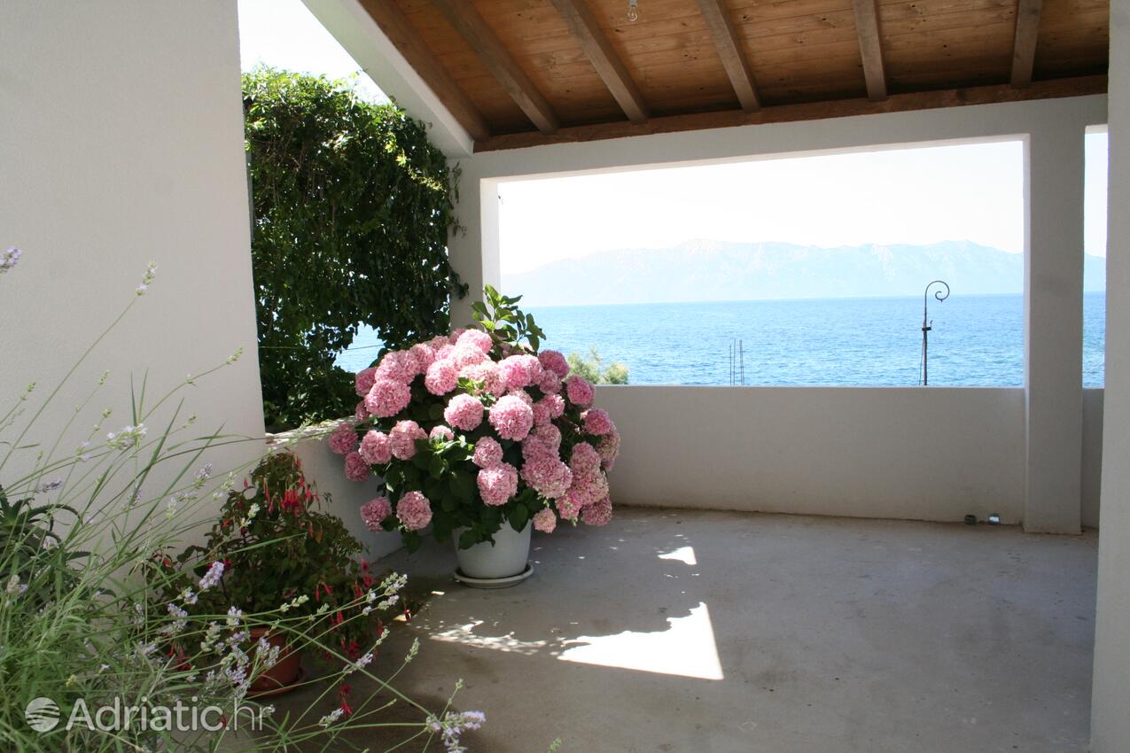 Podwórko - Apartamenty nad morzem Sucuraj, Hvar