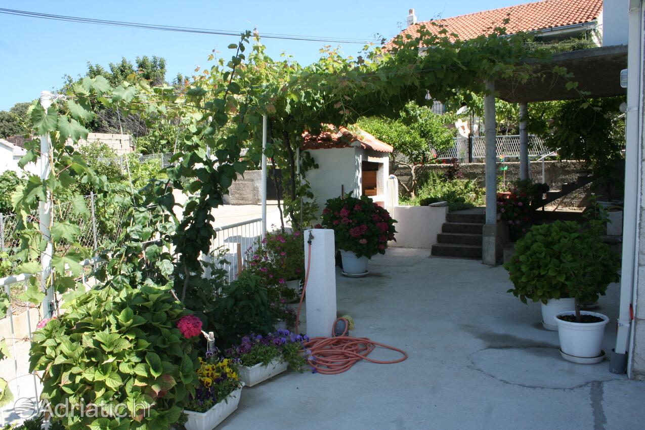 Podwórko - Apartamenty nad morzem Sucuraj, Hvar