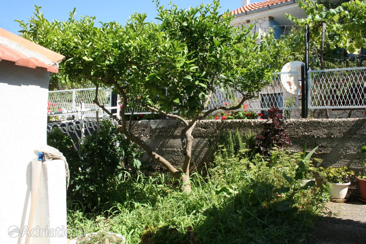 Podwórko - Apartamenty nad morzem Sucuraj, Hvar