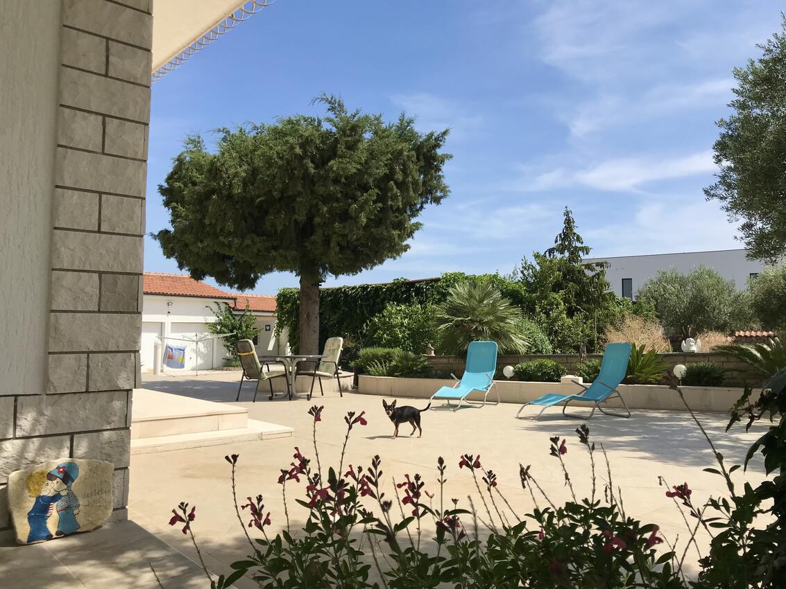 Courtyard - Apartments with a parking space Jezera, Murter