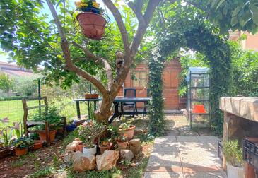 Apartmanok parkolóhellyel Novigrad - 19569