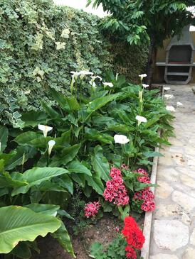 Apartments with parking space Vodice - 19577