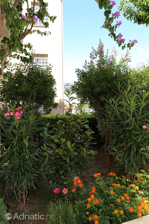 Giardino - Appartamenti con parcheggio Podstrana, Spalato - Split