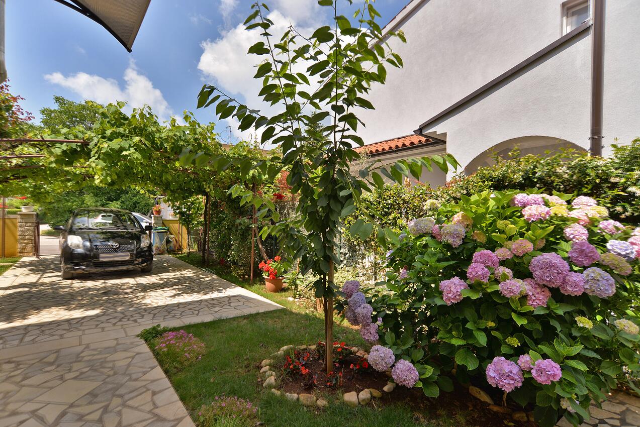 Apartments with a parking space Valbandon, Fažana - 19663