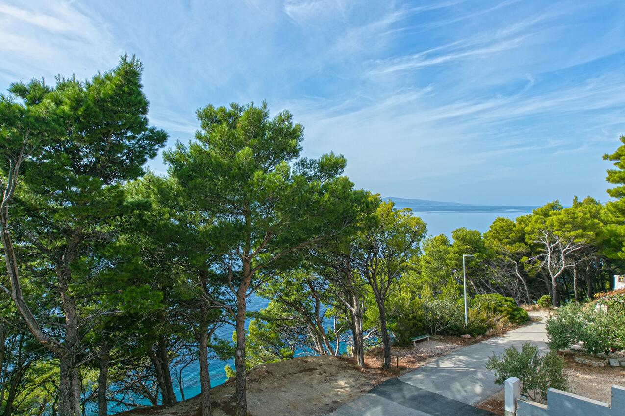 Studio Appartement Brela (Makarska) (AS-19834-e)
