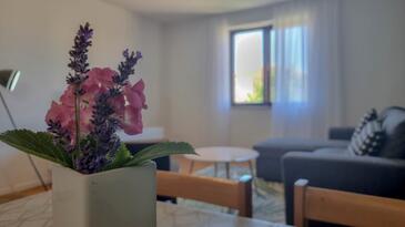 Apartments with terrace Novigrad, Istria