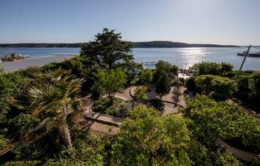 Apartmaji in sobe ob morju Barbat, Rab - 20049 Adriatic.hr