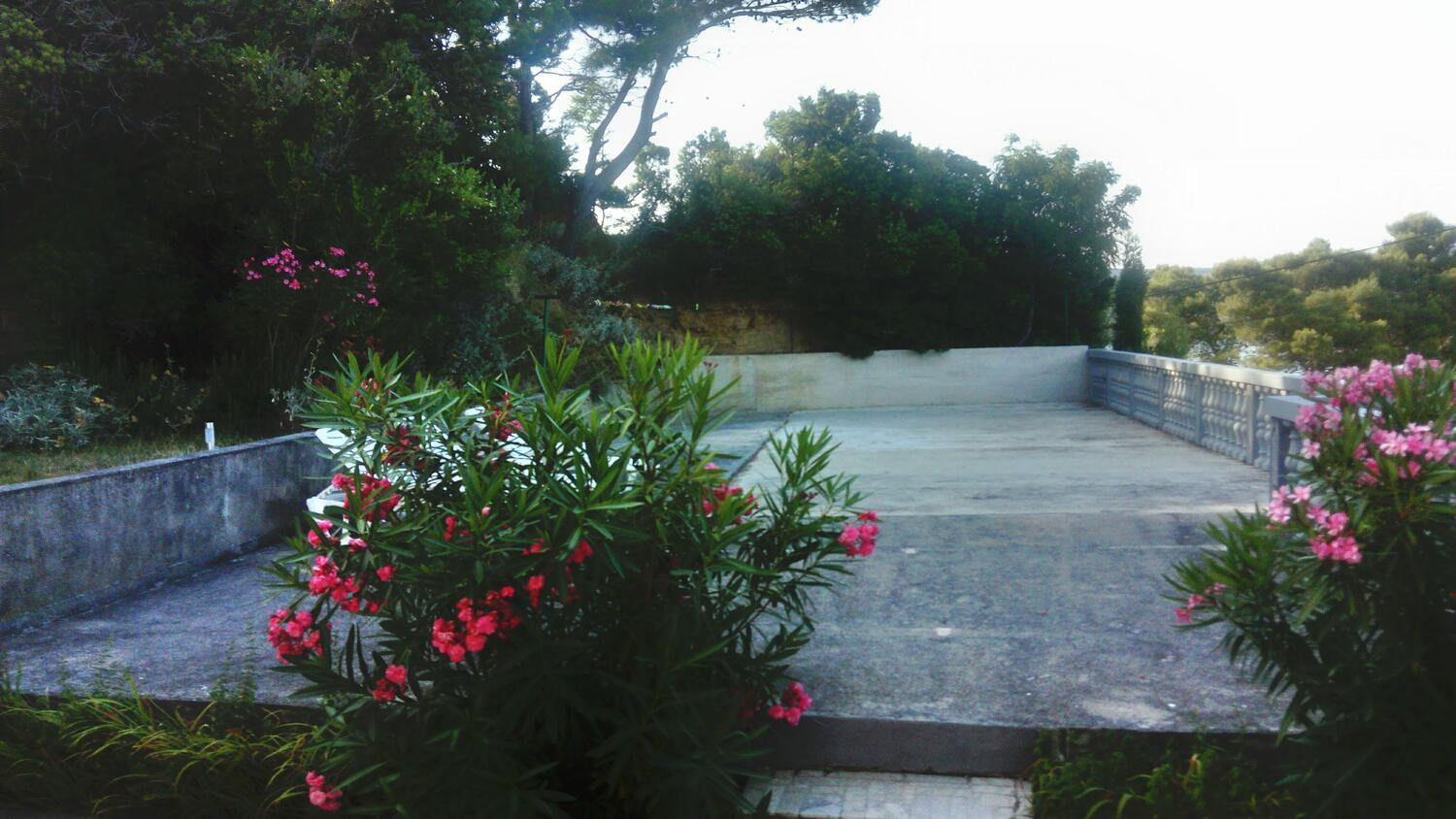 Giardino - Appartamenti accanto al mare per famiglie Valle San Pietro - Bassa - Supetarska Draga - Donja, Arbe - Rab